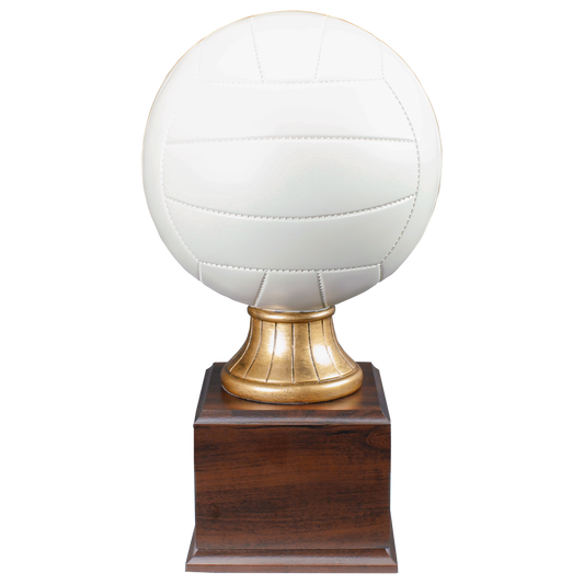 Personalized Volleyball Trophy | Full Size Color Resin Volleyball Award | 14.5 Inches Tall