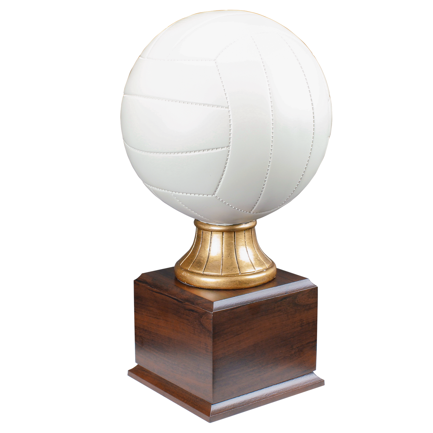 Personalized Volleyball Trophy | Full Size Color Resin Volleyball Award | 14.5 Inches Tall