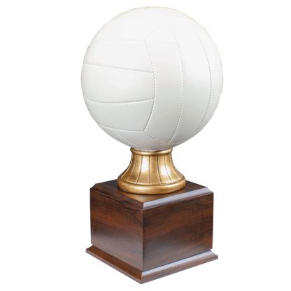 Personalized Volleyball Trophy | Full Size Color Resin Volleyball Award | 14.5 Inches Tall