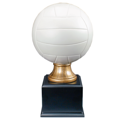 Personalized Volleyball Trophy | Full Size Color Resin Volleyball Award | 14.5 Inches Tall