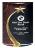 Shooting Star Award - Blue, Green or Red | Engraved Rounded Acrylic Award - 6", 6.75" or 7.75" Decade Awards