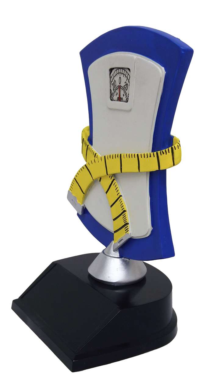 Weight Loss Trophy | Engraved Biggest Loser Award - 7 Inch Tall Decade Awards