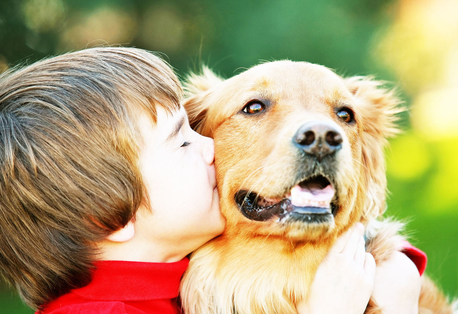 3D Subsurface Crystal Rectangle Wide Crystal Award