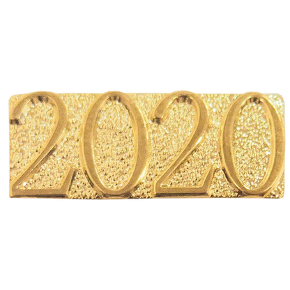 2020 Lapel Pin | 2020 Letter Jacket Chenille Pin
